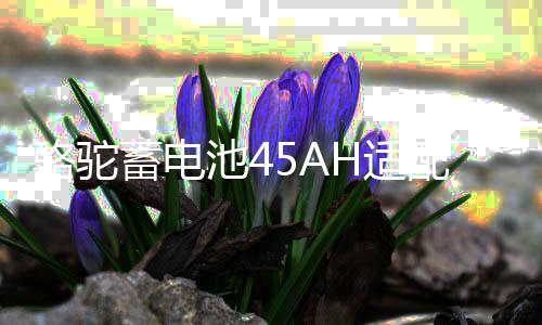 駱駝蓄電池45AH適配五菱宏光吉利QQ金剛熊貓長城M4M2原裝汽車電瓶