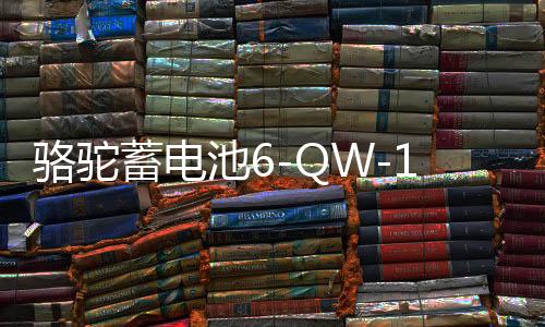 駱駝蓄電池6-QW-180適用東風(fēng)卡車客車貨車工程汽車電瓶 以舊換新
