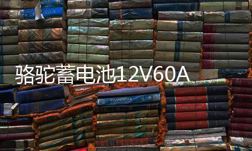 駱駝蓄電池12V60AH適用于全球鷹哈佛H6皇冠銳志奇瑞55D26汽車電瓶