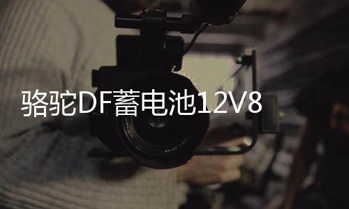 駱駝DF蓄電池12V80AH皮卡越野農(nóng)用貨車(chē)船掛機(jī)叉車(chē)1D汽車(chē)電瓶95D31