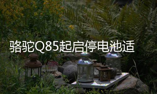 駱駝Q85起啟停電池適配雷凌馬自達CX4/5昂克賽拉本田CRV汽車電瓶