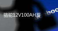 駱駝12V100AH蓄電池貨車三輪拖拉機柴油車發(fā)電機低溫強勁汽車電瓶