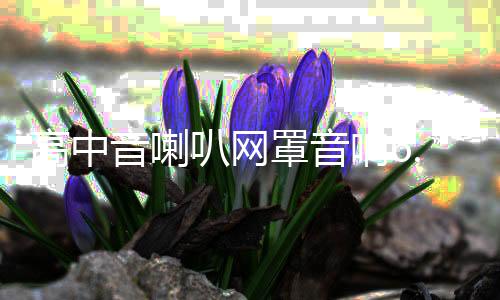 高中音喇叭網(wǎng)罩音響6.5寸1.5寸3寸3.5寸4寸鋁合金保護網(wǎng)罩裝飾圈