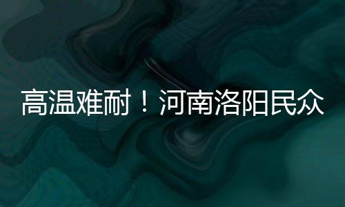 高溫難耐！河南洛陽民眾水中搓麻開啟花式避暑