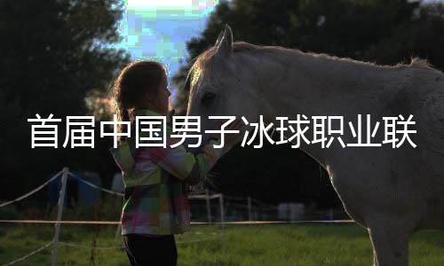 首屆中國男子冰球職業(yè)聯(lián)賽總決賽開幕 北京、深圳迎“開門紅”