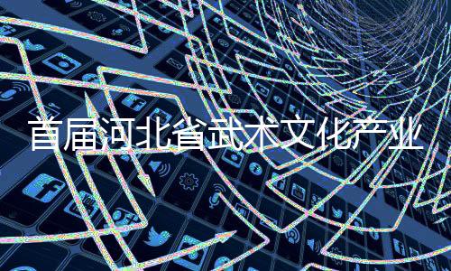 首屆河北省武術文化產(chǎn)業(yè)發(fā)展交流大會展示武術魅力