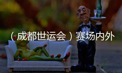 （成都世運(yùn)會(huì)）賽場(chǎng)內(nèi)外氣象萬千——盤點(diǎn)成都世運(yùn)會(huì)“名場(chǎng)面”