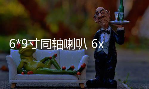 6*9寸同軸喇叭 6x9汽車音響 車載喇叭 汽車?yán)热l重低音橢圓形