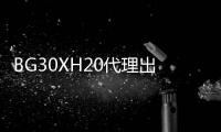 BG30XH20代理出售PA6德國(guó)朗盛BG30XH20