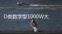 D類數(shù)字型1000W大功率發(fā)燒級超重純低音無源雙音圈低音炮功放
