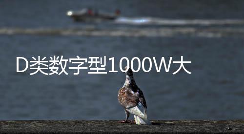 D類數(shù)字型1000W大功率發(fā)燒級(jí)超重純低音無源雙音圈低音炮功放