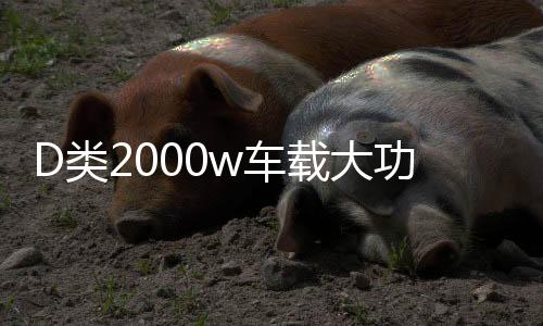 D類2000w車載大功率純重低音可推雙12寸10寸無源雙音圈低音炮功放