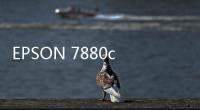 EPSON 7880c 絲印機(jī) 印前數(shù)碼打樣機(jī)