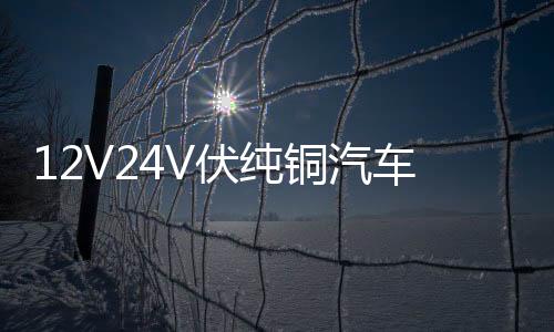 12V24V伏純銅汽車電瓶充電器通用智能大功率農(nóng)用車收割電瓶充電機(jī)