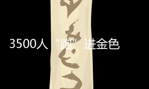 3500人“跑”進金色油畫 湖南南縣花海馬拉松飄起小龍蝦香