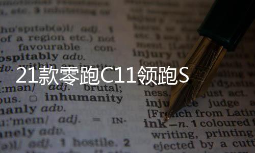 21款零跑C11領(lǐng)跑S01/T03汽車改裝迎賓踏板不銹鋼門檻條后護板配件